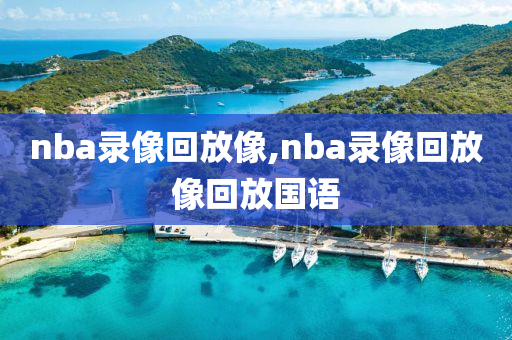 nba录像回放像,nba录像回放像回放国语